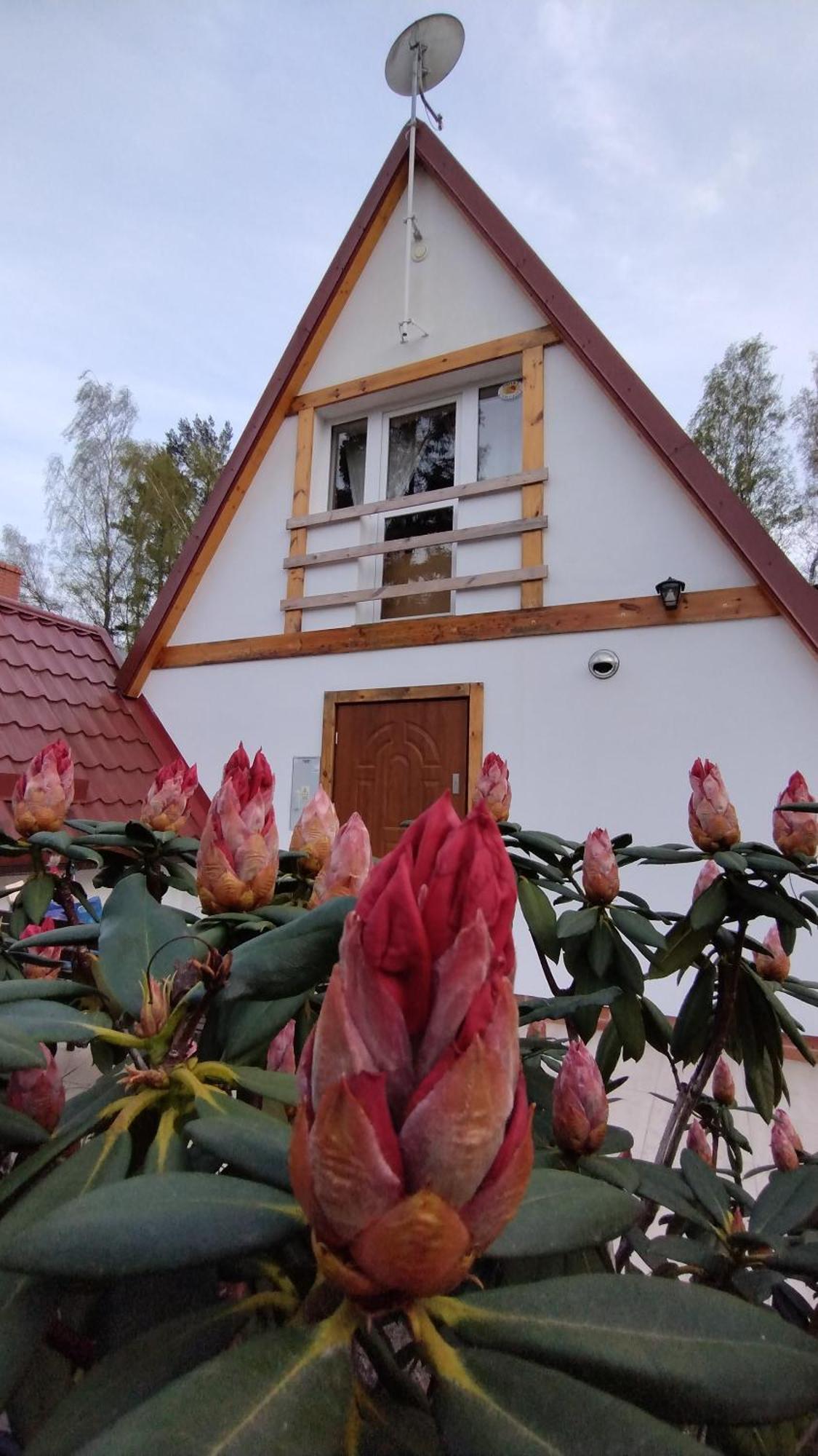 Dom Wakacyjny Za Zakretem Rowy  Exterior foto
